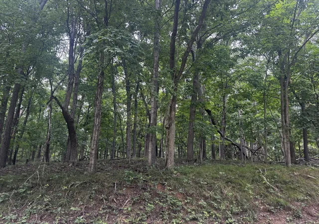 Photo 3 of Land for sale at 1806 Tanglewood Dr, Varna, IL 61375 | MLS# 12736027 | Listing updated on 2026-09-07