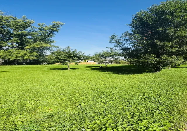 Photo 3 of House for sale at 290 Woodbridge Rd, Des Plaines, IL 60016 | MLS# 12743973 | Listing updated on 2026-09-22