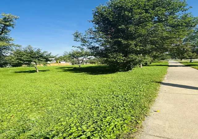 Photo 4 of House for sale at 290 Woodbridge Rd, Des Plaines, IL 60016 | MLS# 12743973 | Listing updated on 2026-09-22