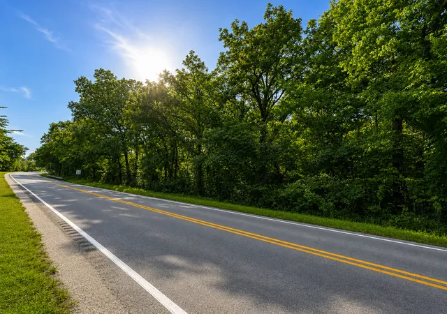 Photo 3 of Land for sale at 347 E Jackson St, Seneca, IL 61360 | MLS# 12747802 | Listing updated on 2026-10-01