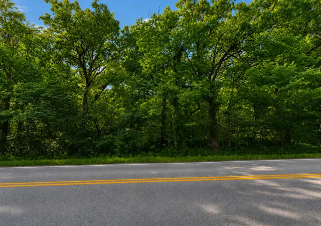 Photo 4 of Land for sale at 347 E Jackson St, Seneca, IL 61360 | MLS# 12747802 | Listing updated on 2026-10-01