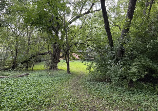 Photo 4 of Single family home for sale at 159 Thomas Ln, New Lenox, IL 60451 | MLS# 12748444 | Listing updated on 2026-09-08