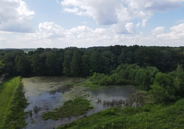 Photo 3 of Land for sale at 000 County Rd 1450 E, Greenup, IL 62428 | MLS# 12748747 | Listing updated on 2026-09-08