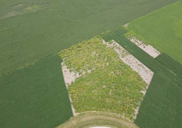 Photo 1 of Land for sale at 4070 2979th Road, Newark, IL 60541 | MLS# 12749790 | Listing updated on 2026-09-08