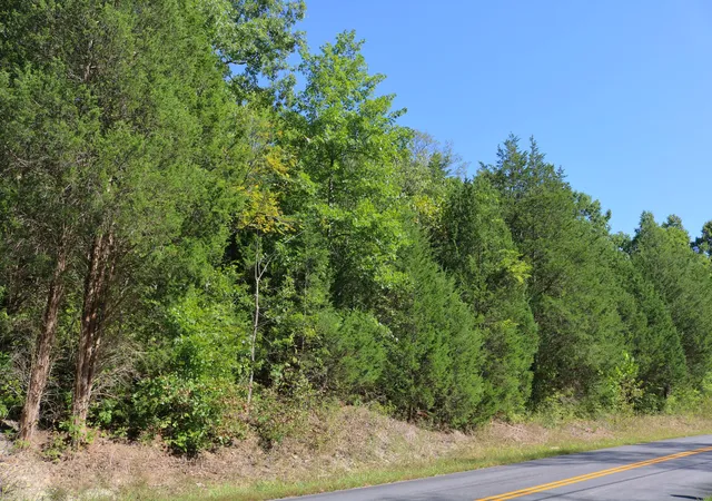 Photo 1 of Land for sale at 2025 Ky Hwy 184 (walnut Valley) Rd, Ghent, KY 41045 | MLS# 645983 | Listing updated on 2026-10-05