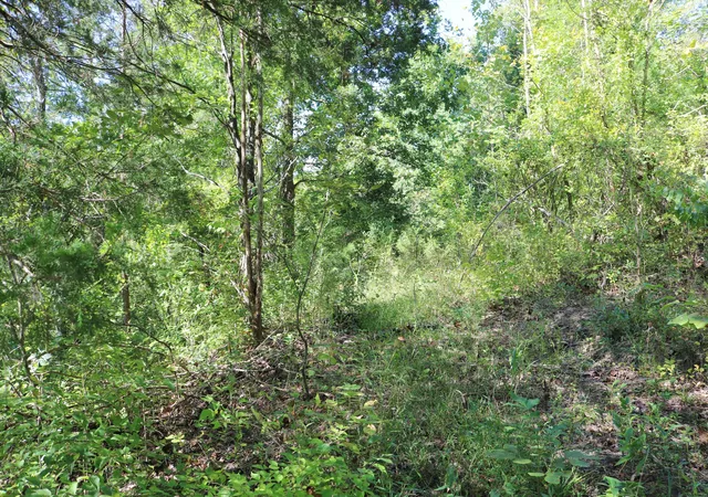 Photo 2 of Land for sale at 2025 Ky Hwy 184 (Walnut Valley) Rd, Ghent, KY 41045 | MLS# 645983 | Listing updated on 2026-10-05