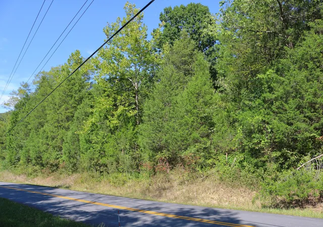 Photo 3 of Land for sale at 2025 Ky Hwy 184 (Walnut Valley) Rd, Ghent, KY 41045 | MLS# 645983 | Listing updated on 2026-10-05