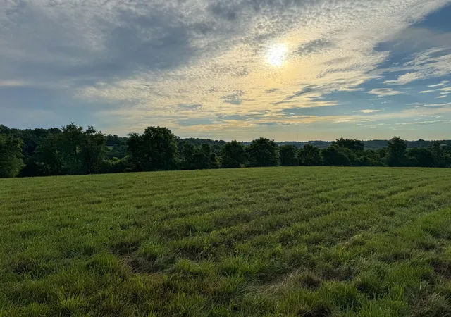 Photo 29 of Land for sale at 844 Hickey Rd, Sharpsburg, KY 40374 | MLS# 646296 | Listing updated on 2026-10-06