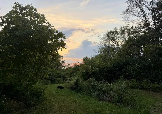 Photo 1 of Sale Pending at 915 Reservoir Ln, Brooksville, KY 41004 | MLS# 646491 | Listing updated on 2026-09-11