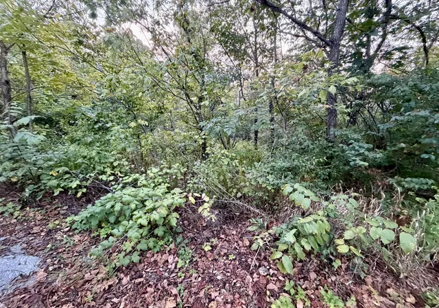 Photo 3 of Sale Pending at 915 Reservoir Ln, Brooksville, KY 41004 | MLS# 646491 | Listing updated on 2026-09-11