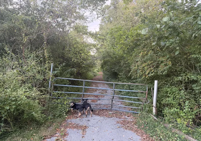 Photo 4 of Sale Pending at 915 Reservoir Ln, Brooksville, KY 41004 | MLS# 646491 | Listing updated on 2026-09-11