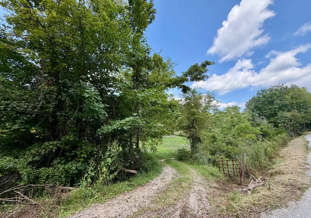 Photo 3 of Land for sale at 2514 Kellacey Rd, West Liberty, KY 41472 | MLS# 647720 | Listing updated on 2026-10-21