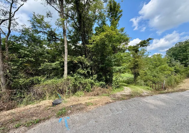 Photo 4 of Land for sale at 2514 Kellacey Rd, West Liberty, KY 41472 | MLS# 647720 | Listing updated on 2026-10-21