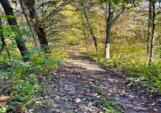 Photo 4 of Land for sale at 1311 Acre Taft Hwy #1, Williamstown, KY 41097 | MLS# 647684 | Listing updated on 2026-10-24