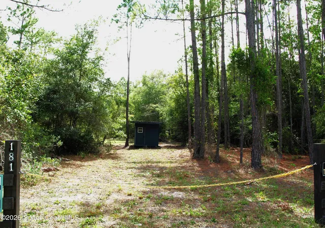 Photo 1 of Land for sale at 181 Lakeway Dr, Georgetown, FL 32139 | MLS# 1069411 | Listing updated on 2026-09-14