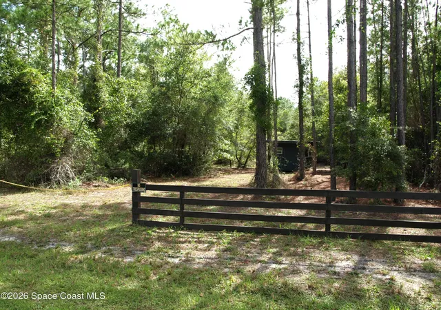 Photo 3 of Land for sale at 181 Lakeway Dr, Georgetown, FL 32139 | MLS# 1069411 | Listing updated on 2026-09-14