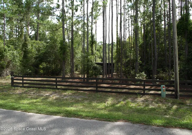 Photo 3 of Land for sale at 181 Lakeway Dr, Georgetown, FL 32139 | MLS# 1069411 | Listing updated on 2026-09-14