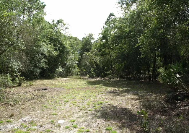 Photo 4 of Land for sale at 181 Lakeway Dr, Georgetown, FL 32139 | MLS# 1069411 | Listing updated on 2026-09-14