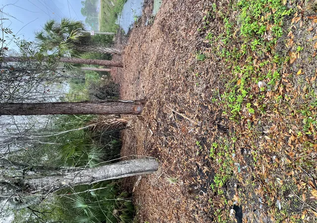 Photo 1 of Land for sale at 1691&1699 Sandusky St Se, Palm Bay, FL 32909 | MLS# 1086769 | Listing updated on 2026-09-17
