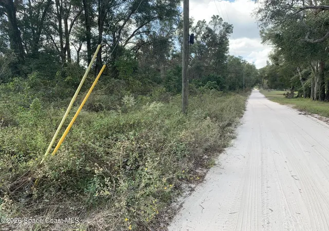 Photo 1 of Land for sale at 0 Co Rd 337, Bell, FL 32619 | MLS# 1087977 | Listing updated on 2026-09-18