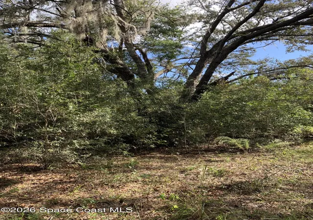 Photo 2 of Land for sale at 0 Co Rd 337, Bell, FL 32619 | MLS# 1087977 | Listing updated on 2026-09-18