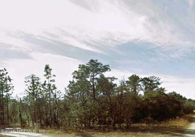 Land for sale at 0 NE 3rd Place, Williston, FL 32696 | MLS# 2163079