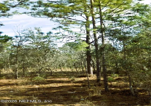 Photo 3 of Land for sale at 0 Ne 3rd Place, Williston, FL 32696 | MLS# 2163079 | Listing updated on 2026-09-02