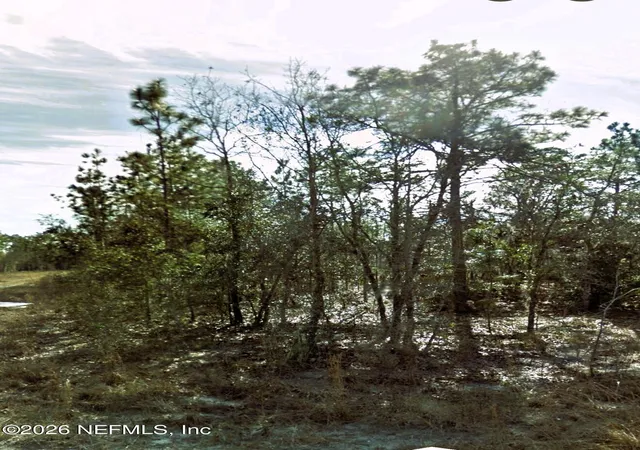 Land for sale at 00 NE 3rd Place, Williston, FL 32696 | MLS# 2163097