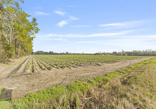 Photo 3 of Land for sale at 195 Carter Crabtree Rd, East Palatka, FL 32131 | MLS# 2163153 | Listing updated on 2026-10-06