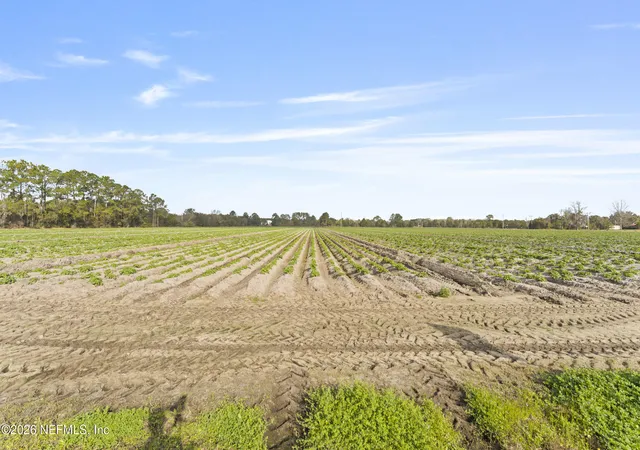 Photo 3 of Land for sale at 195 Carter Crabtree Rd, East Palatka, FL 32131 | MLS# 2163153 | Listing updated on 2026-10-06