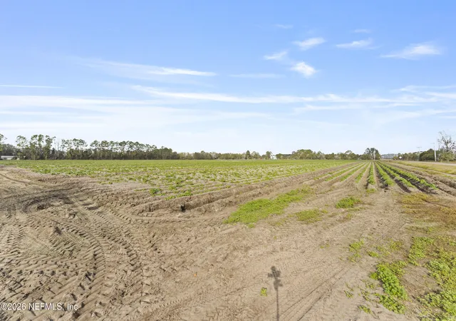 Photo 4 of Land for sale at 195 Carter Crabtree Rd, East Palatka, FL 32131 | MLS# 2163153 | Listing updated on 2026-10-06
