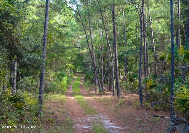 Photo 1 of Land for sale at 402 Siesta Dr, Georgetown, FL 32139 | MLS# 2163061 | Listing updated on 2026-09-02