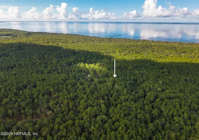 Photo 3 of Land for sale at 402 Siesta Dr, Georgetown, FL 32139 | MLS# 2163061 | Listing updated on 2026-09-02