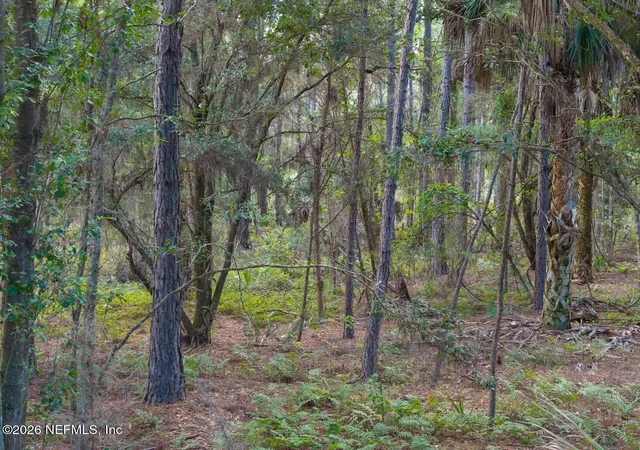 Photo 4 of Land for sale at 402 Siesta Dr, Georgetown, FL 32139 | MLS# 2163061 | Listing updated on 2026-09-02