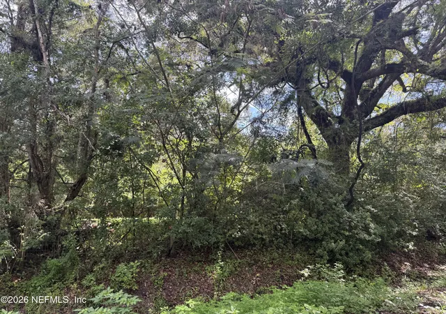 Photo 2 of Land for sale at 56063 Nassau Oaks Dr, Callahan, FL 32011 | MLS# 2163192 | Listing updated on 2026-09-03