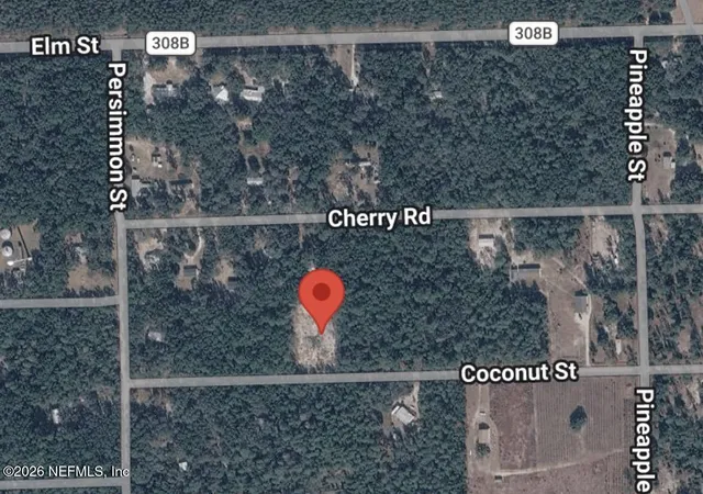 Land for sale at 116 Coconut St, Pomona Park, FL 32181 | MLS# 2163749