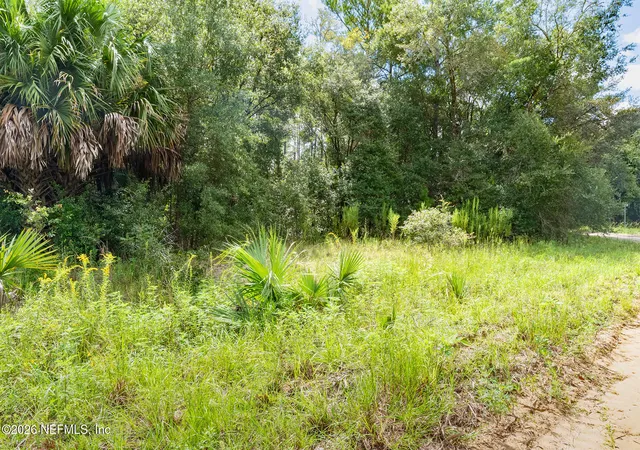 Photo 3 of Land for sale at 0010 Kin St, Interlachen, FL 32148 | MLS# 2163780 | Listing updated on 2026-09-07