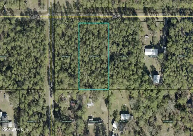 Photo 2 of Land for sale at 4265 Gladys St, Hastings, FL 32145 | MLS# 2163786 | Listing updated on 2026-09-07