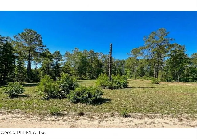 Photo 1 of Land for sale at 705 Hickory Nut Trl, Satsuma, FL 32189 | MLS# 2164029 | Listing updated on 2026-09-16