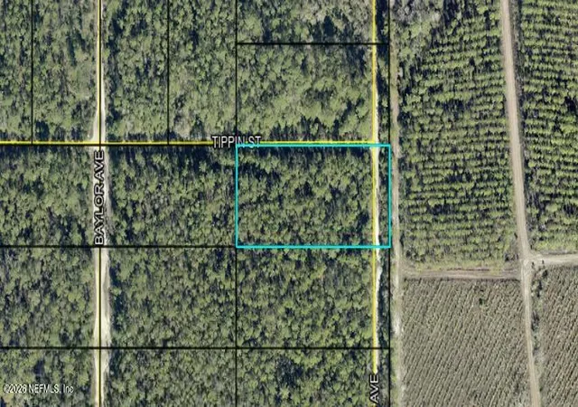Photo 1 of Land for sale at 0 Amos, Hastings, FL 32145 | MLS# 2164549 | Listing updated on 2026-09-12