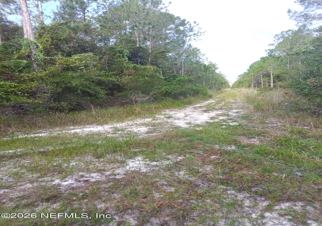 Photo 2 of Land for sale at 0 Amos, Hastings, FL 32145 | MLS# 2164549 | Listing updated on 2026-09-12