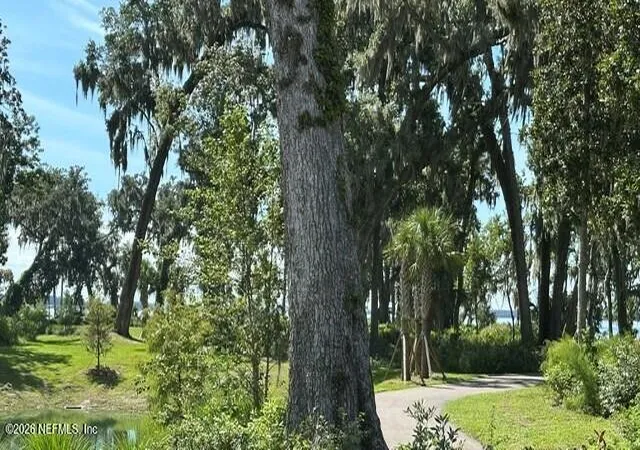 Photo 2 of Townhouse for sale at 317 Oakmoss Dr, Saint Johns, FL 32259 | MLS# 2164675 | Listing updated on 2026-10-05