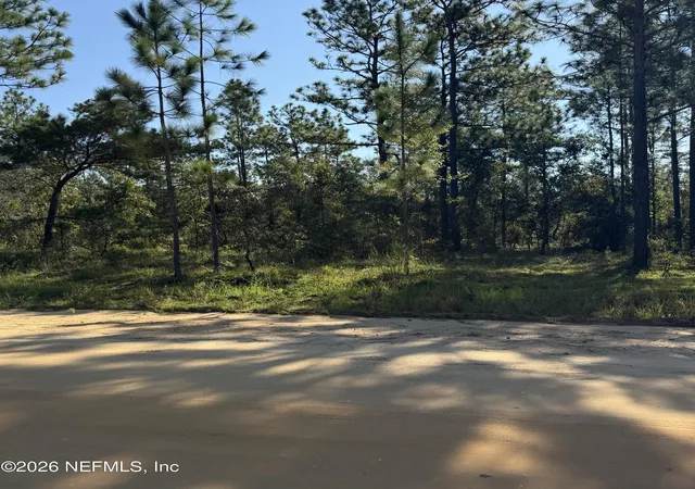 Photo 2 of Land for sale at 000 Royal Way, Hawthorne, FL 32640 | MLS# 2164747 | Listing updated on 2026-09-16