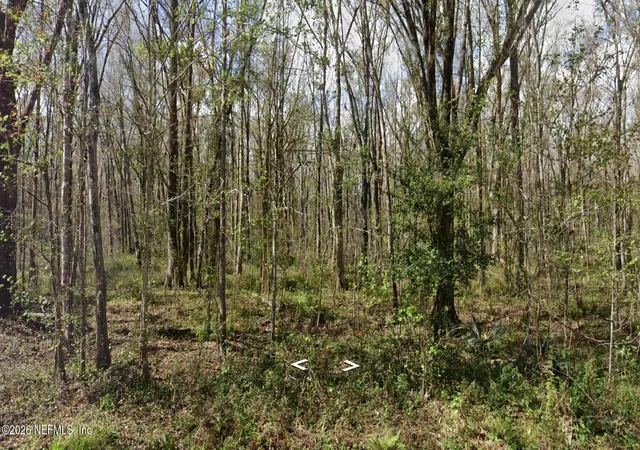 Photo 1 of Land for sale at 10665 Underwood Ave, Hastings, FL 32145 | MLS# 2164860 | Listing updated on 2026-09-25