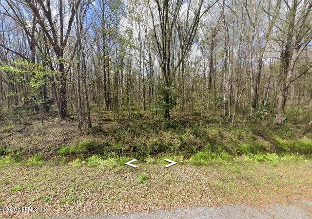 Photo 3 of Land for sale at 10665 Underwood Ave, Hastings, FL 32145 | MLS# 2164860 | Listing updated on 2026-09-25