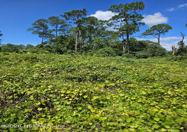Photo 2 of Land for sale at 118 Moon Lake Dr, Crescent City, FL 32112 | MLS# 2165219 | Listing updated on 2026-09-18