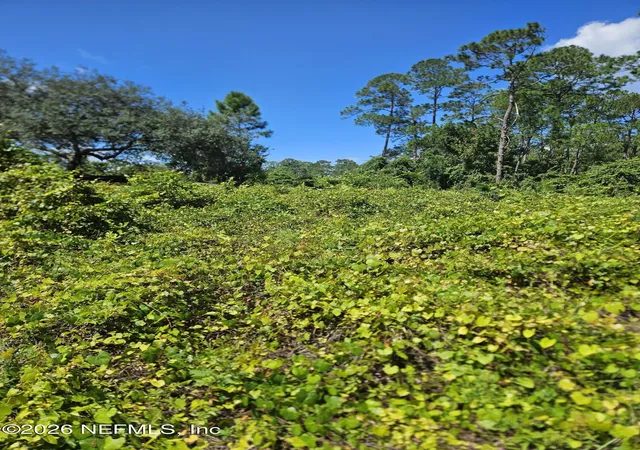 Photo 3 of Land for sale at 118 Moon Lake Dr, Crescent City, FL 32112 | MLS# 2165219 | Listing updated on 2026-09-18