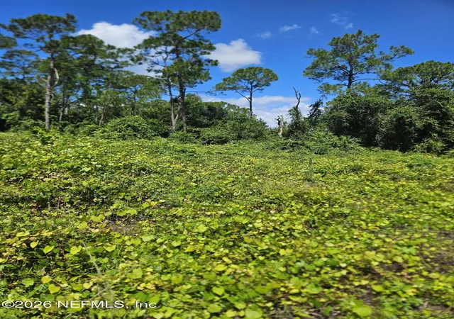 Photo 4 of Land for sale at 118 Moon Lake Dr, Crescent City, FL 32112 | MLS# 2165219 | Listing updated on 2026-09-18
