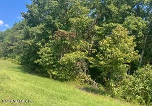 Land for sale at 0 217 County Rd, Middleburg, FL 32234 | MLS# 2165846