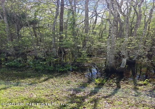 Photo 3 of Land for sale at 0 Thompson Bailey Rd, Saint Augustine, FL 32084 | MLS# 2168017 | Listing updated on 2026-10-06
